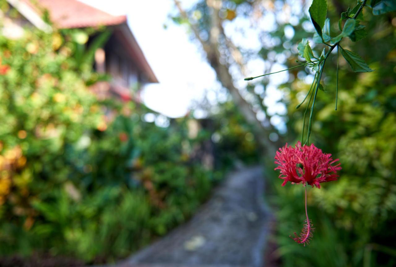 Jasri Bay Hideaway Hotel Exterior photo